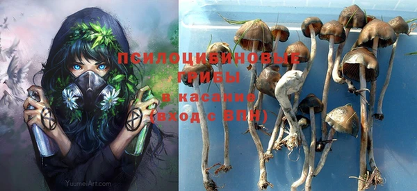 прущая мука Кулебаки
